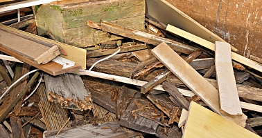 Holz