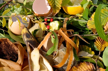 Laub, Äste, Eierschalen, Kaffeefilter, Zitronenschalen und andere Bioabfälle&nbsp;&copy;&nbsp;Abfall-Service Osterholz GmbH