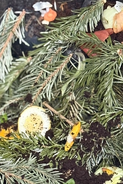 Biomüll_Beispiel.jpg&nbsp;&copy;&nbsp;Abfall-Service Osterholz