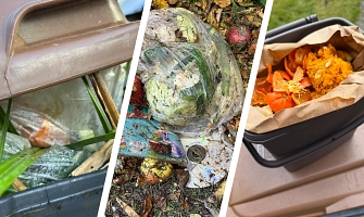Eine Foto-Collage aus einem Bild einer Biomülltonne, aus der eine Plastiktüte rausragt, einem Biomüllhaufen, in dem eine Plastiktüte liegt und einer Biomüll-Sammeltonne mit plastikfreiem Biomüll.