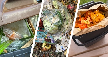 Eine Foto-Collage aus einem Bild einer Biomülltonne, aus der eine Plastiktüte rausragt, einem Biomüllhaufen, in dem eine Plastiktüte liegt und einer Biomüll-Sammeltonne mit plastikfreiem Biomüll.